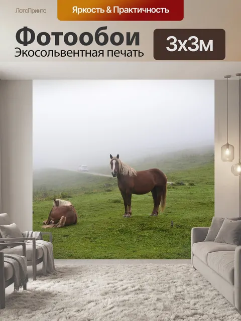 Фотообои Лошади