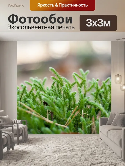 Фотообои Лес