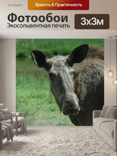 Фотообои Швеция