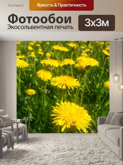 Фотообои Одуванчики