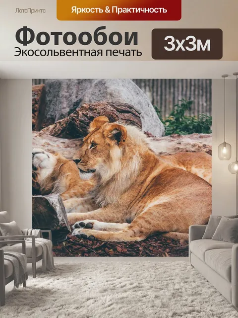 Фотообои Лев