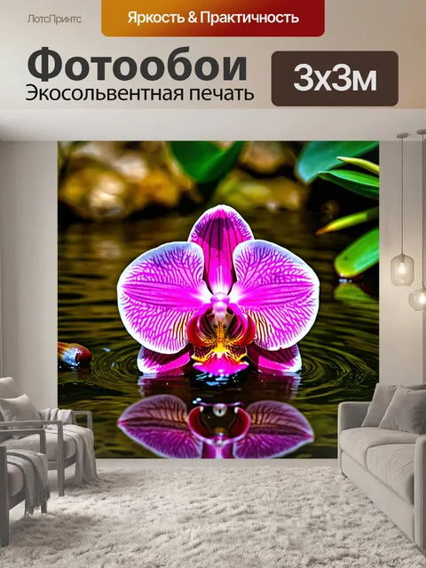 Фотообои орхидея в потоке воды, символизирующая жизнь
