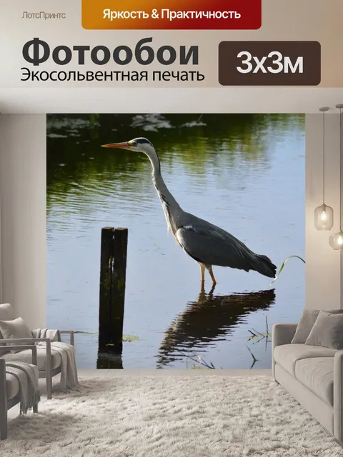 Фотообои Поймать рыбу 4