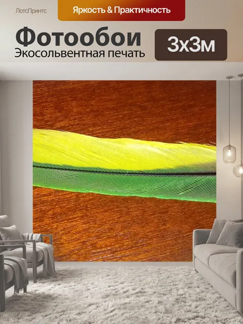 Фотообои Перо