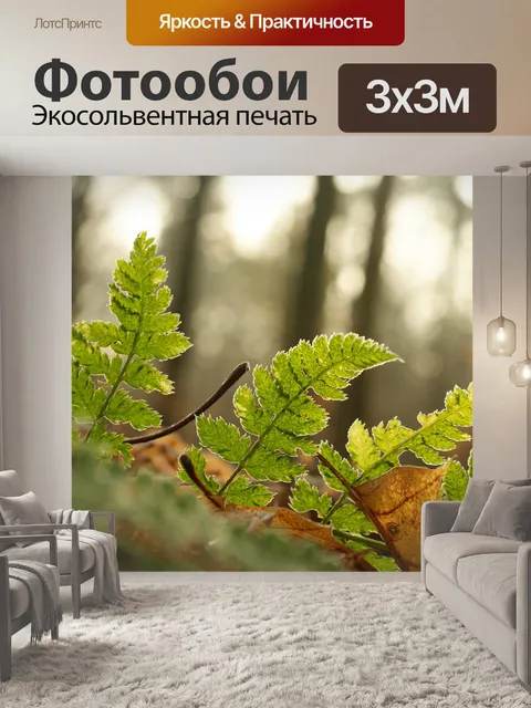Фотообои Папоротник