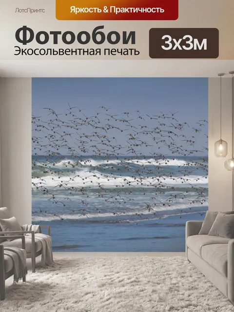 Фотообои Стая птиц
