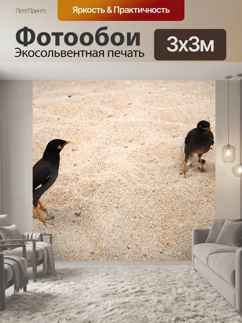 Фотообои Птицы