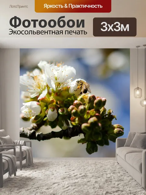 Фотообои Цветы