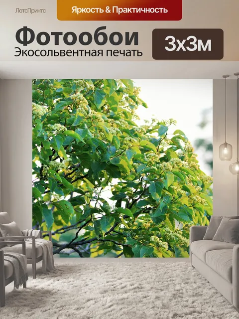 Фотообои цветущее дерево