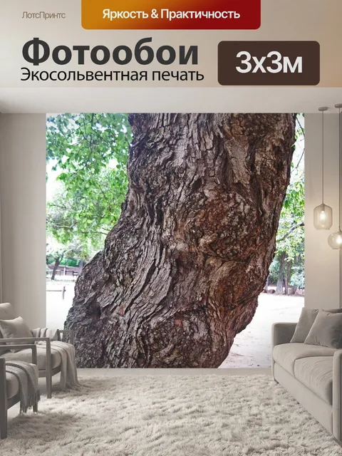 Фотообои текстура и шероховатая поверхность коры