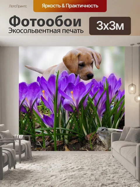 Фотообои Природа