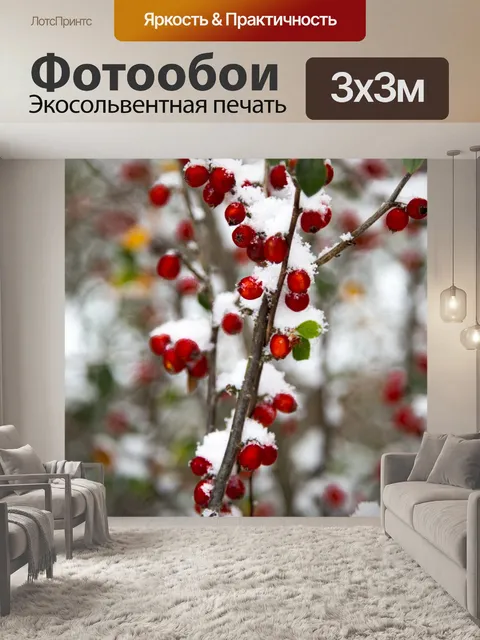 Фотообои Красные ягоды