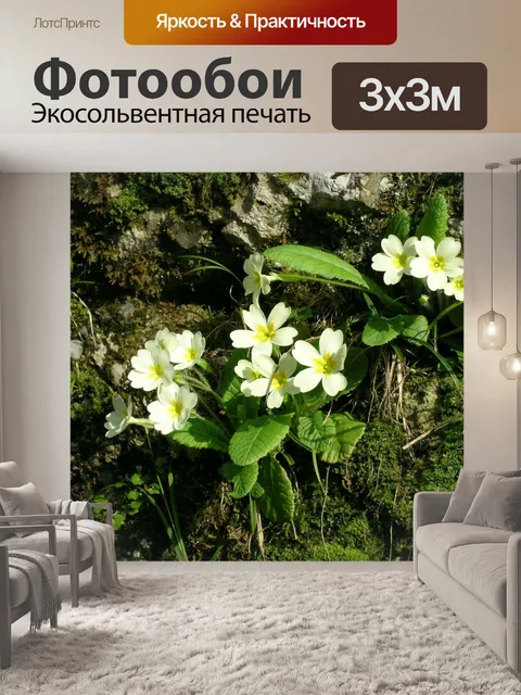 Фотообои Первоцветы