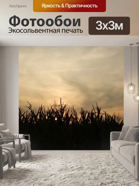 Фотообои Заход солнца