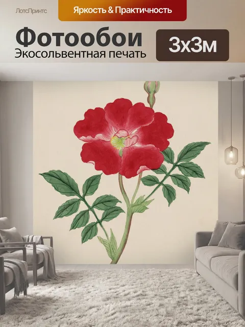 Фотообои Красный цветок