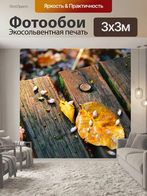 Фотообои Упал