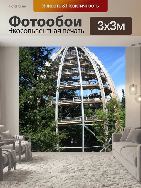 Фотообои Тропинка на верхушках деревьев