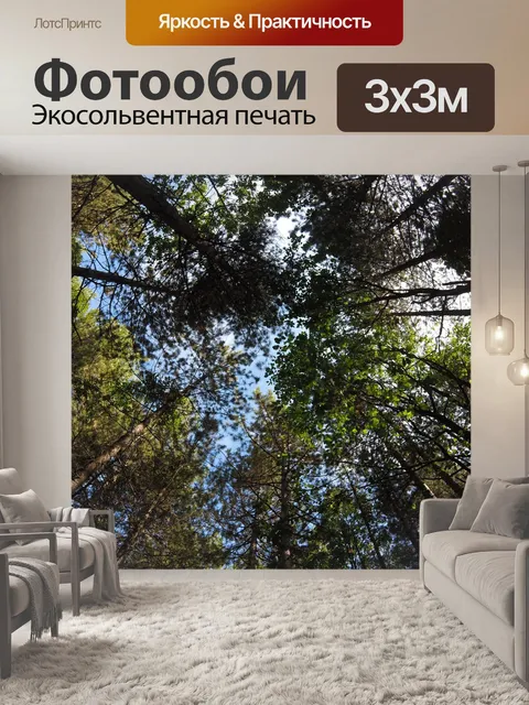 Фотообои Деревья