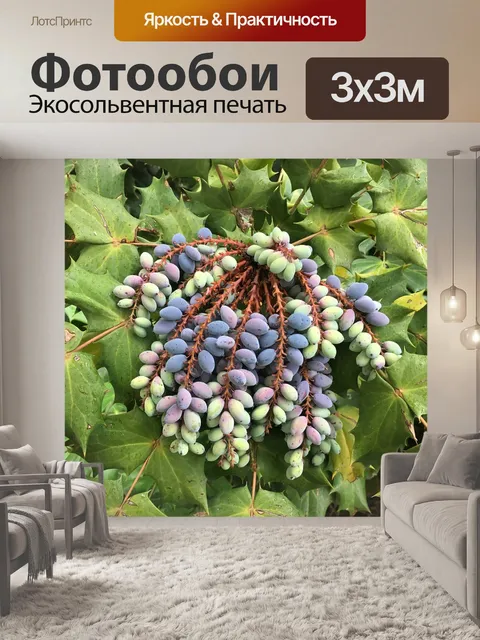 Фотообои Флора