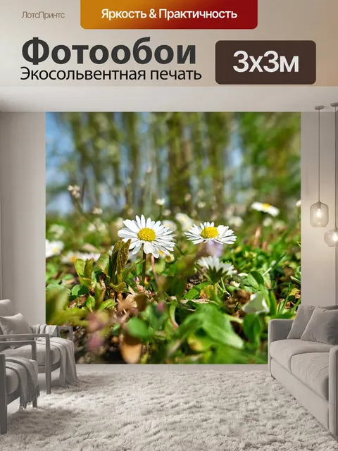 Фотообои Луг