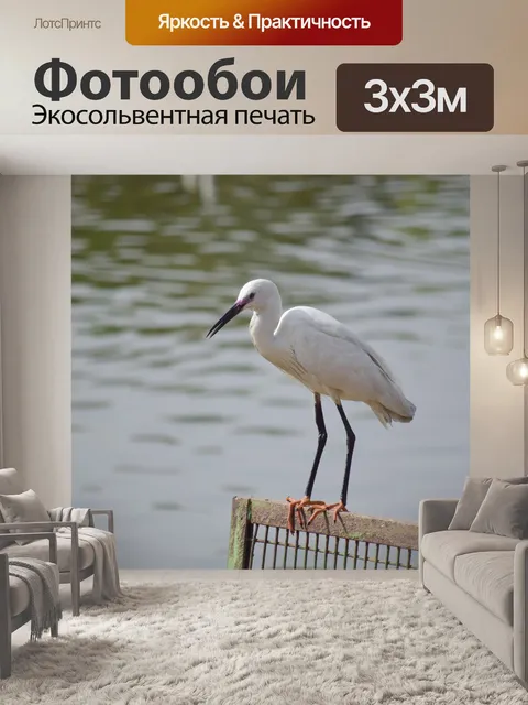 Фотообои Аист 2