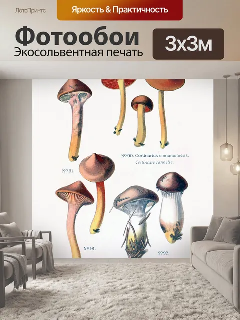 Фотообои Грибы винтаж арт старый
