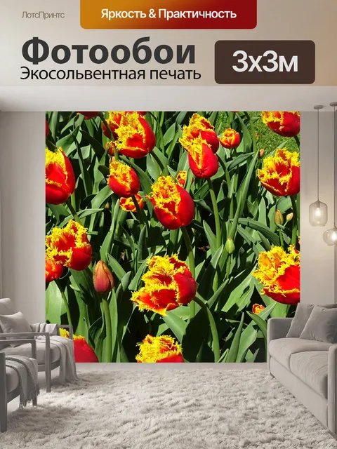 Фотообои Тюльпаны