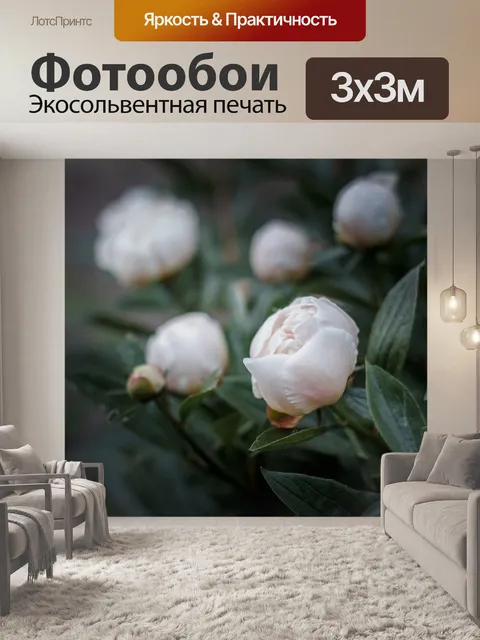 Фотообои Пионы