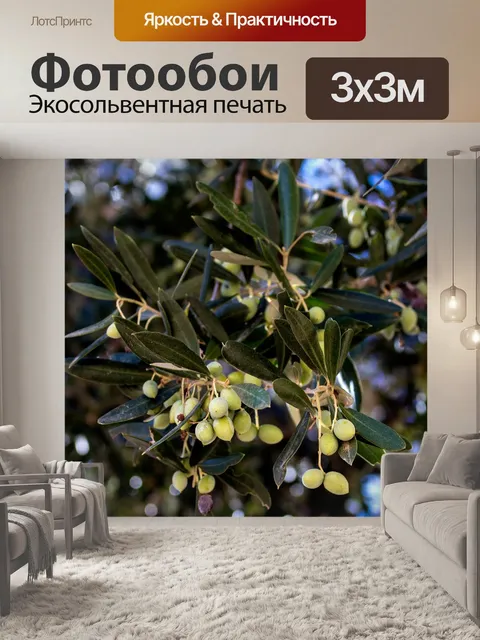 Фотообои Оливковый