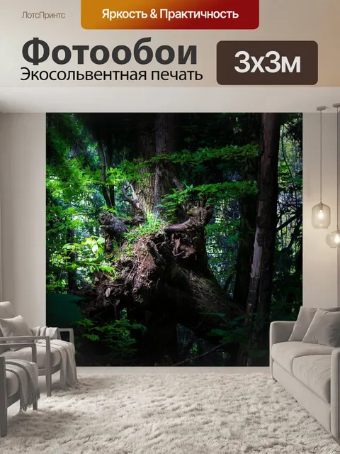 Фотообои Лес