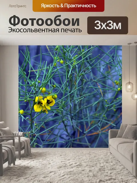 Фотообои Желтые цветы
