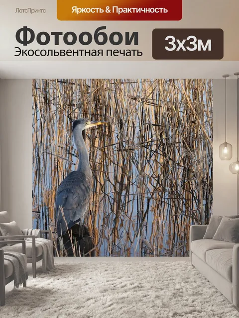 Фотообои Цапля