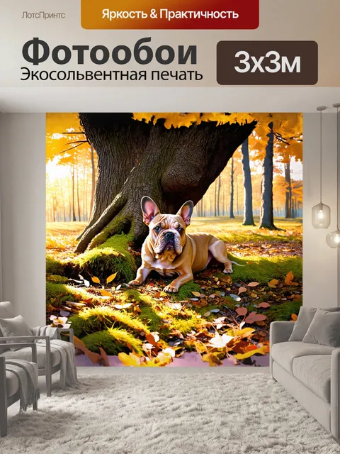 Фотообои в уютном уголке леса