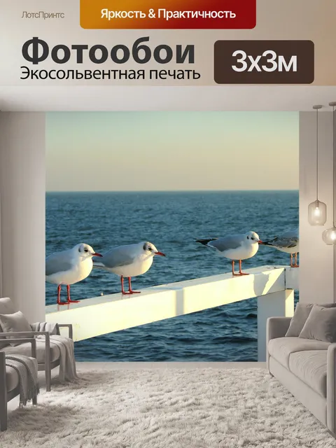 Фотообои Чайки