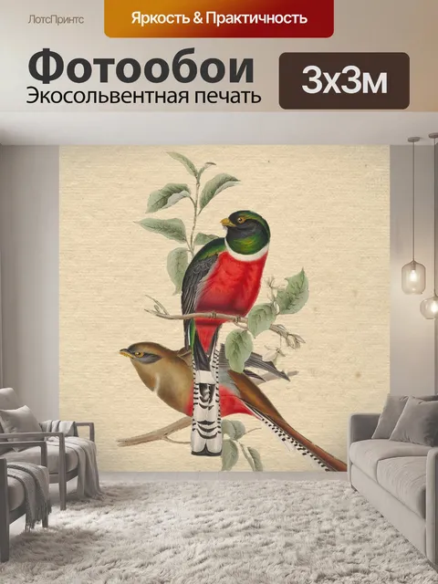 Фотообои Птица