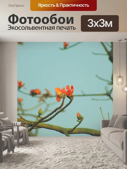 Фотообои Шимул
