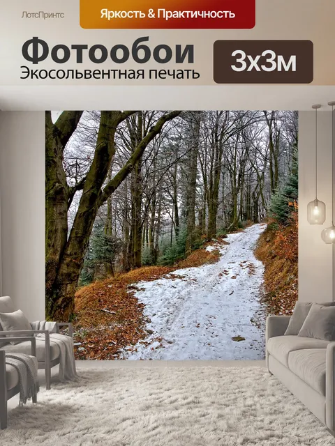 Фотообои Буки