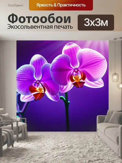 Фотообои с орхидеей
