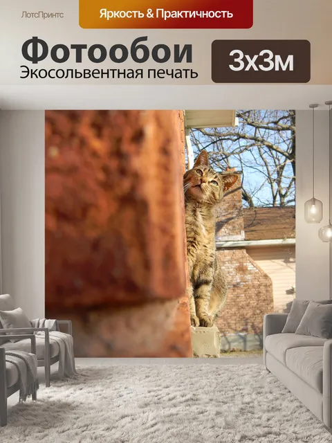 Фотообои Кошка