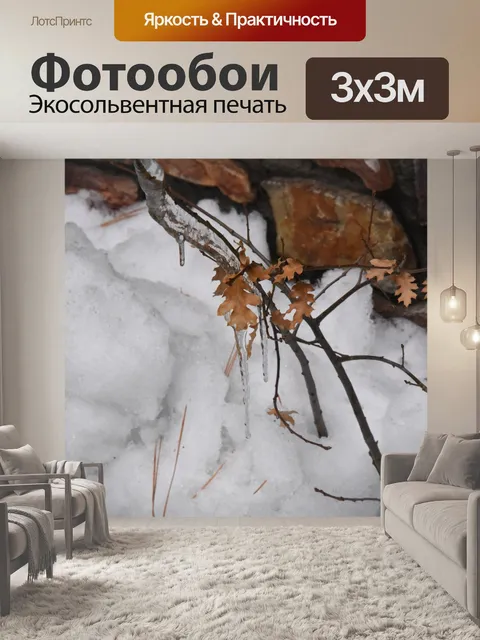 Фотообои Листья Snow Cold Winter