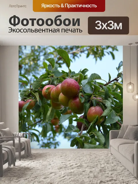 Фотообои Сливы