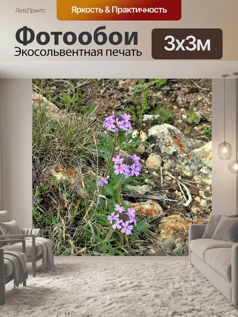 Фотообои Роза Вербена Полевые цветы