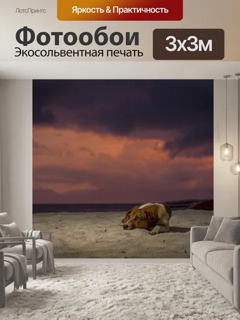 Фотообои Собака