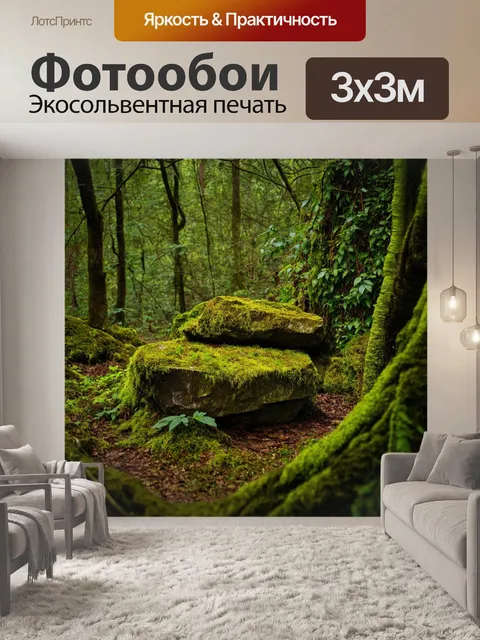 Фотообои лес с большими камнями, окруженными мшистыми деревьями и лианами
