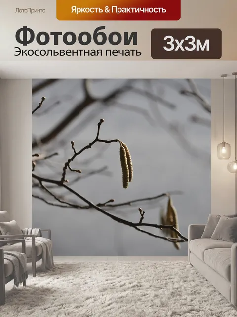 Фотообои Зима