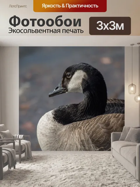 Фотообои Птица
