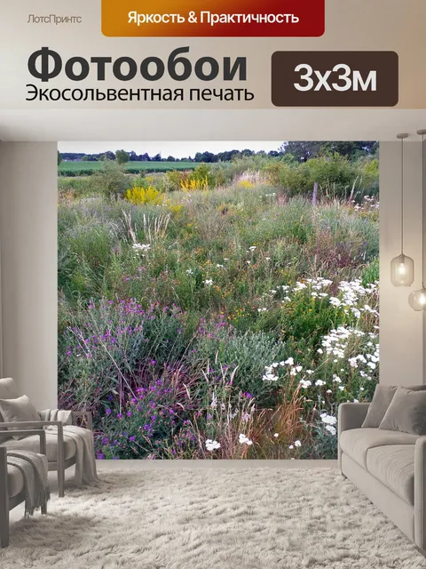 Фотообои Полевые цветы полевые луговые цветы