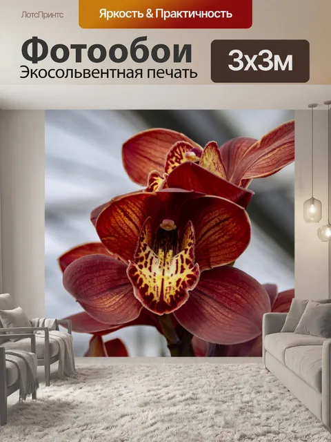 Фотообои Орхидеи