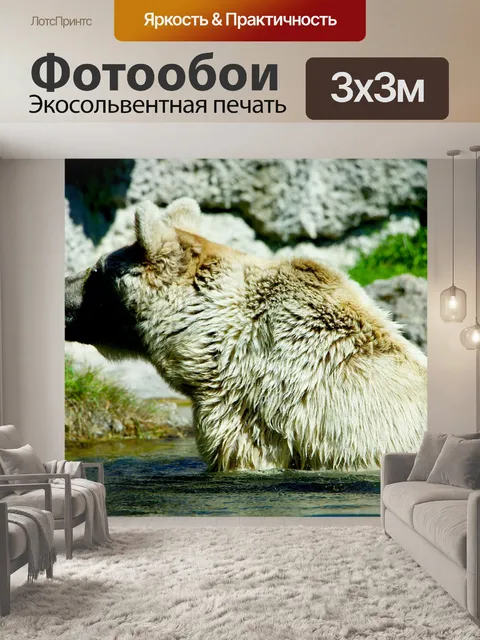 Фотообои Природа