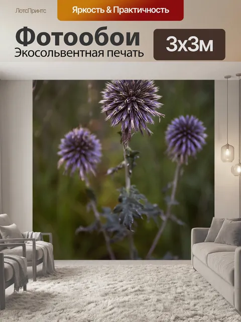 Фотообои Цветок